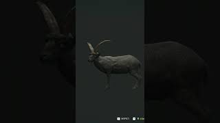 Melanistic Ibex! #thehunter17 #thehuntercallofthewild #shorts  #hunting