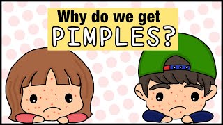 How pimples are formed / How acne forms / Causes of acne & pimples / What's inside a pimple?