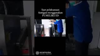 #shorts basmi kutu beras menggunakan fumilikuid untuk pakan ternak