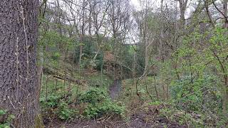 The stream near the tram museum in Heaton Park.