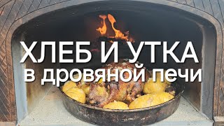 ХЛЕБ ДЕРЕВЕНСКИЙ И УТКА С ЯБЛОКАМИ И КАРТОФЕЛЕМ В ДРОВЯНОЙ ПЕЧИ. РЕЦЕПТЫ СЮФ