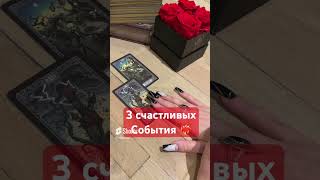 3 события #никкиами