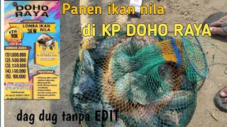 EDANN!!cuma di pinggir dapat 15kg .. lomba ikan nila di kp doho raya