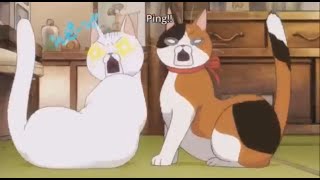 Hungry Cat 3 gatsu no lion meme