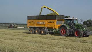 Spring green forage silage/Tavaszi zöld takarmány silózás 2019