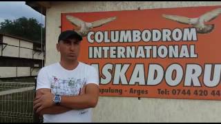 CONCURS SHUMEN DIN DATA DE 07.08.2016 COLUMBODROM INTERNATIONAL KASKADORU