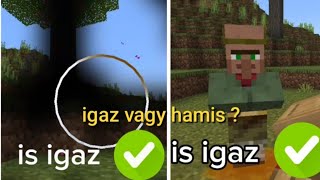 2 mitosz leteszteltem hogy igaz vagy hamis  a #minecraftban 🤔