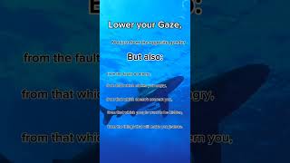 Lower your Gaze #ytshorts #viral #islamicstatus