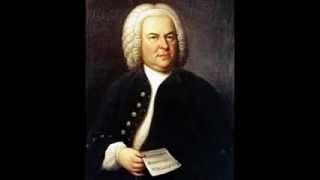 J.S. Bach - BWV 487 -- Mein Jesu! was fuer Seelenweh (Organ version)