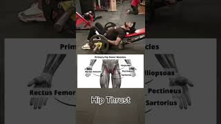 Hip thrust performance #gym #motivation #strength #gymworkout #gymexercises #hipthrust #fitness