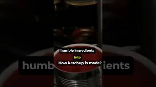 How ketchup is made in factory #ketchupmaking #factoryproduction #shorts