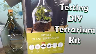 Testing Out a DIY Terrarium Kit From Homegoods