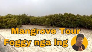 Mangrove Jubail Island, Abu Dhabi