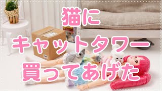 【猫あるある】キャットタワーを買ってあげたらこうなった【リカちゃん】