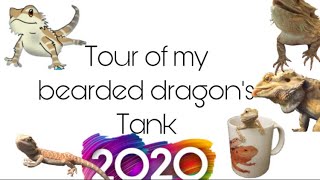 Tour of my bearded dragon August’s tank!