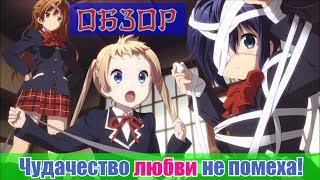 Чудачество любви не помеха/Chuunibyou demo Koi ga Shitai! Обзор