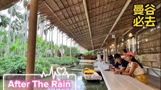 🇹🇭 泰国必到After The Rain 咖啡馆 | 喝茶可以免费乘船？| 环境优美 | 打卡圣地 | 食物超值又美味 Famous Cafe among Thais | Relax & Chill