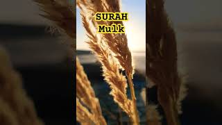 Surah Mulk Urdu Translation #surahmulk #quran #qurantranslationhd #quranurdu