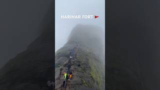 HARIHAR FORT 🚩 Extremely dangerous trek in maharashtra | kalavantin durg trek #harihar #travel