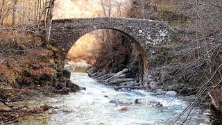 Pont de Salgueda ☆ Vidrà ☆ Osona