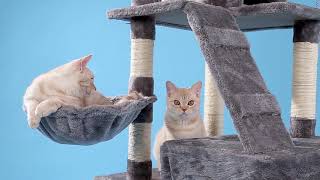 MULTILEVEL TREE™ | SCRATCHPROOF TOWER FOR CATS