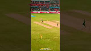 David Warner bowling