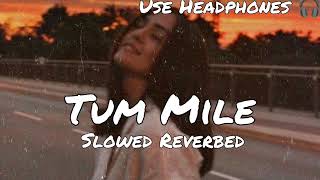 Tum Mile | Slowed Reverbed | Lofi Mix