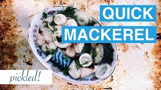 Mama's Overnight Pickled Mackerel // Recipe for Quick Russian Pickling