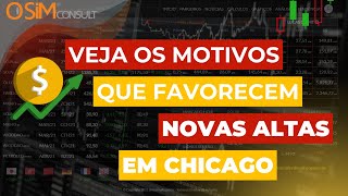 SOJA&MILHO-Veja os motivos que favorecem novas altas em Chicago