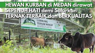 Kapan lagi gaes? Hewan Kurban JUMBO punya dokter pribadi demi Jamin Ternak SEHAT & BERKUALITAS