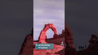 Delicate Arch #hiking #delicatearch #nationalpark #utah #utahtravel #travelinspiration #travelguide