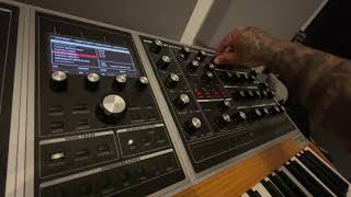 Moog One Dark Sound