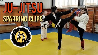 Ju-Jitsu Sparring | "Fighting System" Rules #judokarate #judojujitsu #jujitsufighting #sparring #bjj