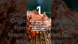 Top 10 Curious FACTS about BRISKET! #shorts #bbqgrill #grill