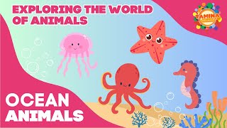 Exploring the Wolrd of Animals : Ocean Animals Part 1 | Educational Videos for Kids