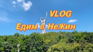 UKRAINE VLOG:приютили собаку из Бучи ;Едем в Нежин