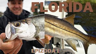 RIBOLOVNI PUTOPIS : Daytona, nevrijeme i Snook & Tarpon