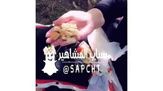 صدر مروي راتب