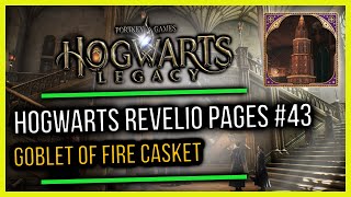 Hogwarts Castle Field Guide Revelio Pages #43 Goblet Of Fire Casket