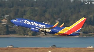 (4K) Beautiful Evening Plane Spotting at PDX - Portland, Oregon