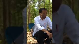 🇮🇩PRESIDEN BERKEMAH DI HUTAN IKN