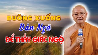 Tại Sao Bạn Cần BUÔNG BỎ Để Thấy Được Giác Ngộ | HT Viên Minh Giảng (Mới Nhất)