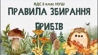 ПРАВИЛА ЗБИРАННЯ ГРИБІВ #ядс #2клас