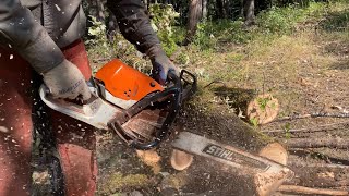 Cutting Logs Into Firewood Instead of Milling into Lumber