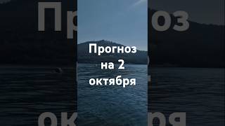 Прогноз на 2 октября - Фэншуим с Верой - Фэн-шуй - астрология