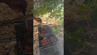 Chicken and hotdogs barbecue