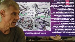 Как пища повлияла на инволюцию бывших людей? Александр Белов 28.06.2024 г.