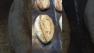 French baguette 🥖 bread 🍞