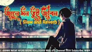 Jane Mon Tui Jibon ।। # জানে মন তুই জীবন #। Lofi Song ।। Paglu ।। Bangla গান