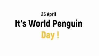 World Penguin Day 25April